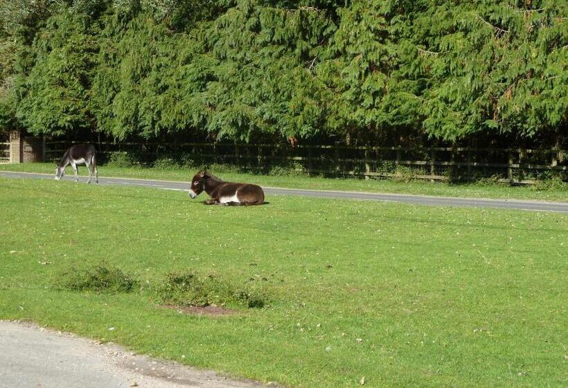 민박 Cameron House