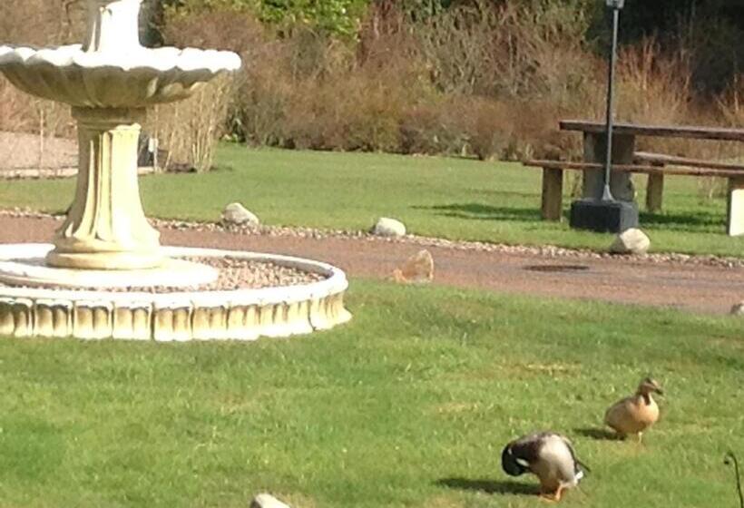 مبيت وإفطار Camfield House