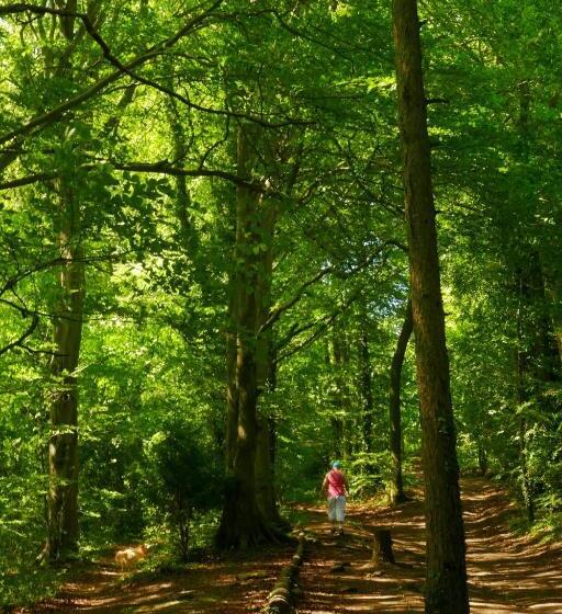 ベッドアンドブレックファースト Croft House Guest Suite Painswick