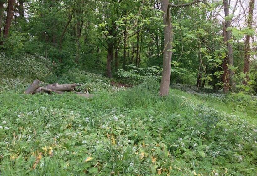 Bed and Breakfast Gardeners Cottage B And B