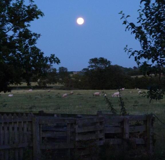 مبيت وإفطار Glen House Annexe