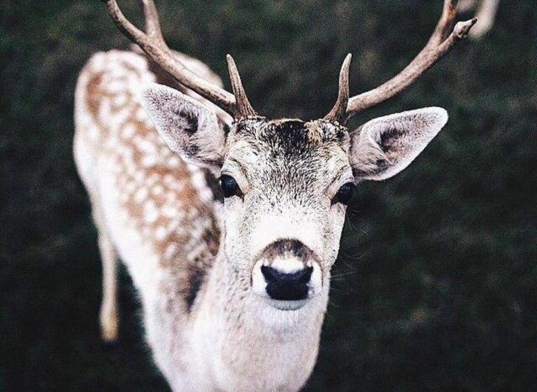 צימר Harford En Suite Rooms