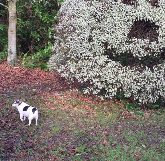 צימר Harford En Suite Rooms