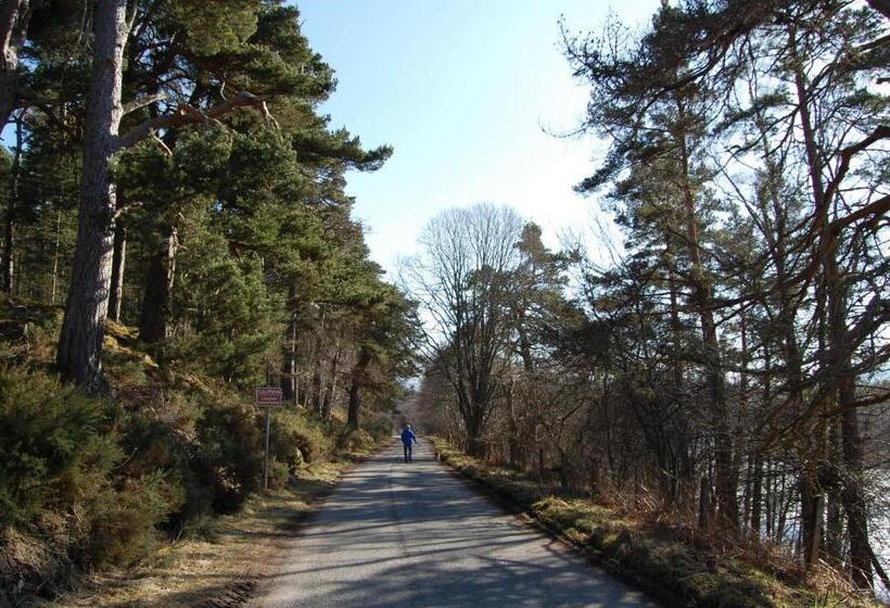 Bed and Breakfast Haus Alba