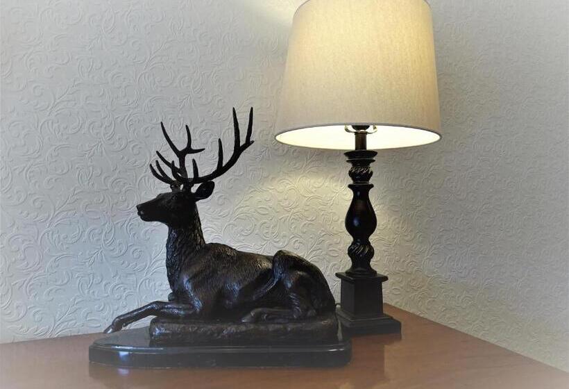 Bed and Breakfast Lillian May Bnb