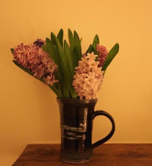 צימר Moon In The Apple Tree