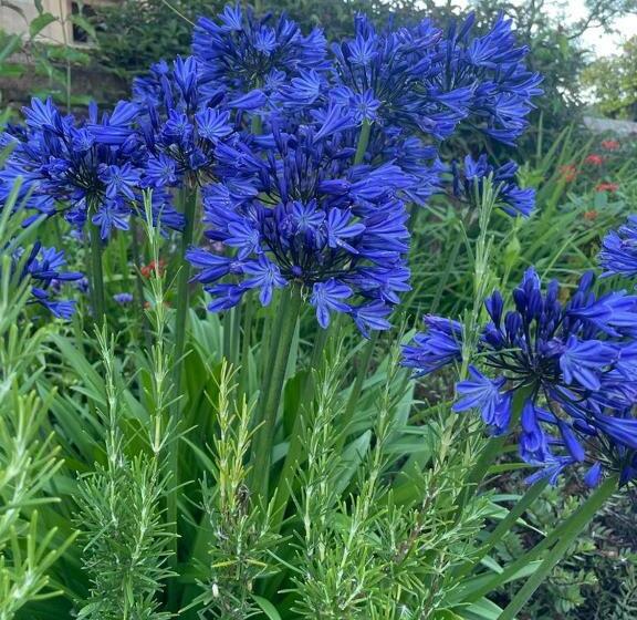 مبيت وإفطار Moorlands