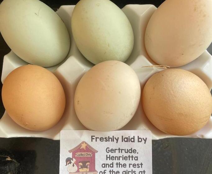 مبيت وإفطار Moorlands