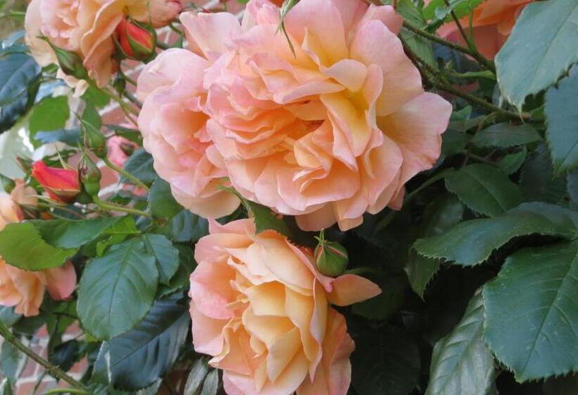 민박 Newmans Lodge