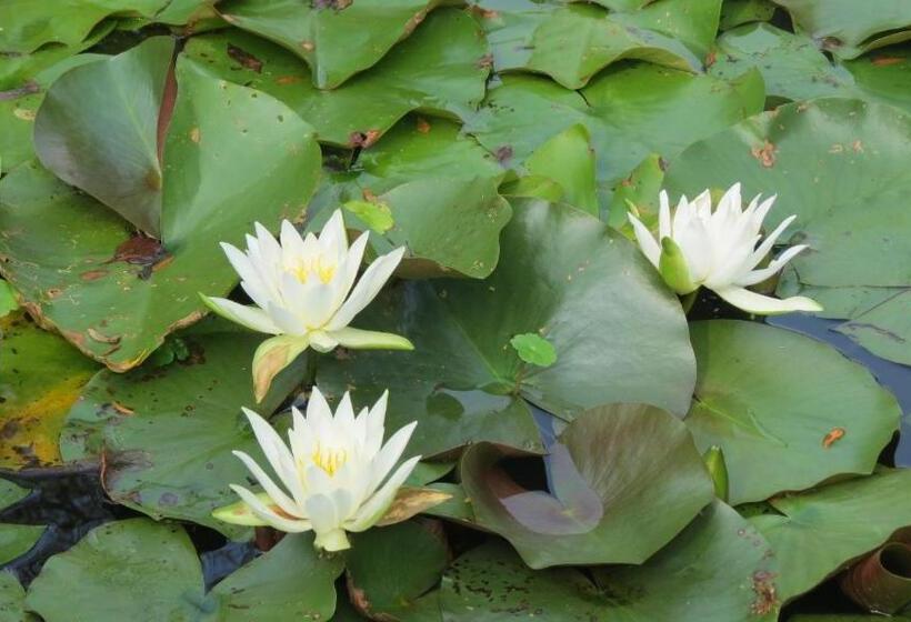 민박 Newmans Lodge