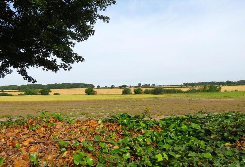 민박 Newmans Lodge