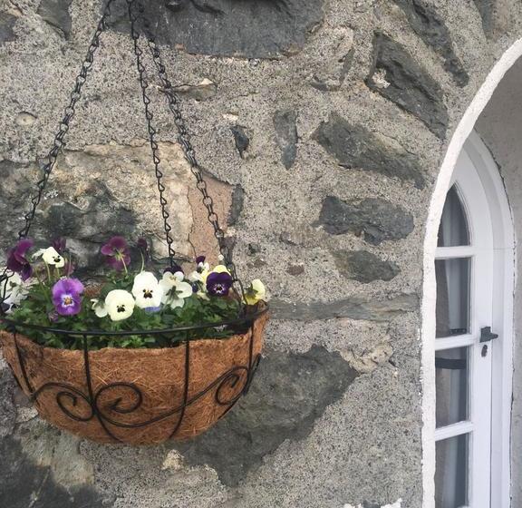 Bed and Breakfast Penisa Rllan Farm