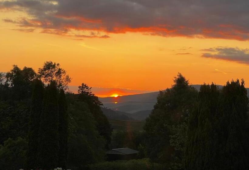 住宿加早餐  Springburn Farmhouse