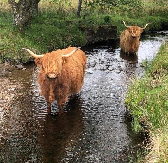 住宿加早餐  Springburn Farmhouse