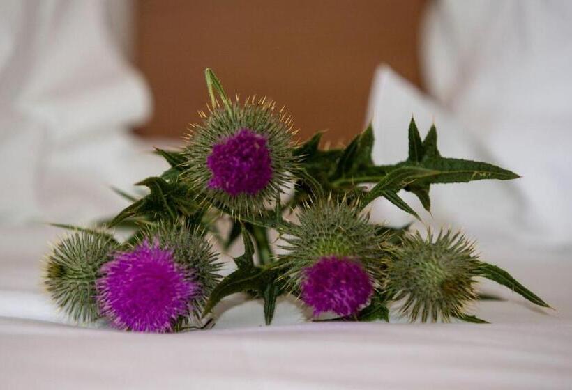 住宿加早餐  Springburn Farmhouse