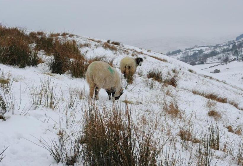 مبيت وإفطار Sykes House
