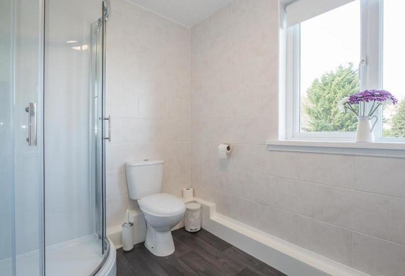 צימר Teifi Netpool