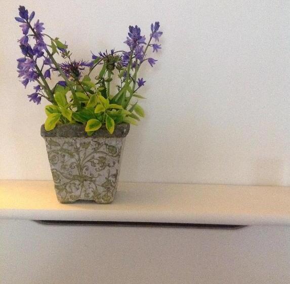 ベッドアンドブレックファースト The Coach House Brecon