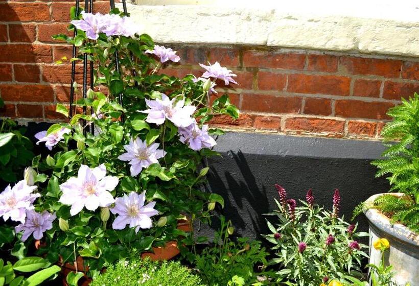 Bed and Breakfast The Queen