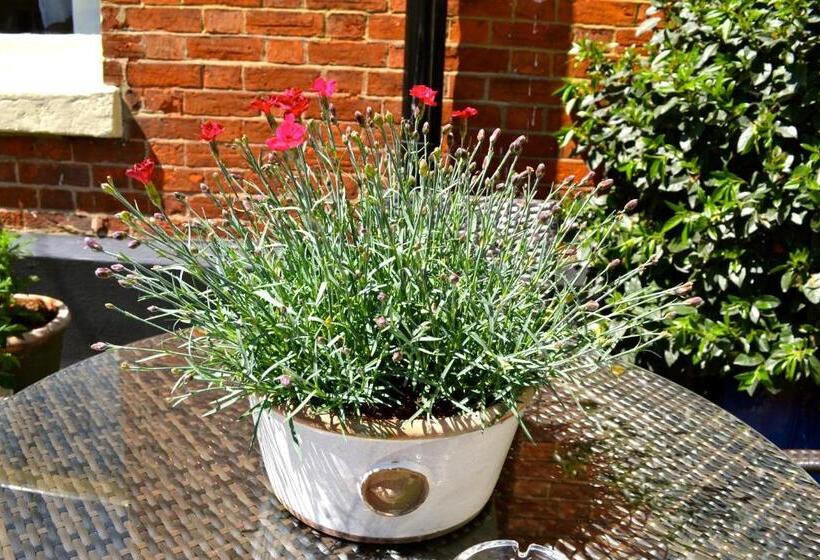 Bed and Breakfast The Queen