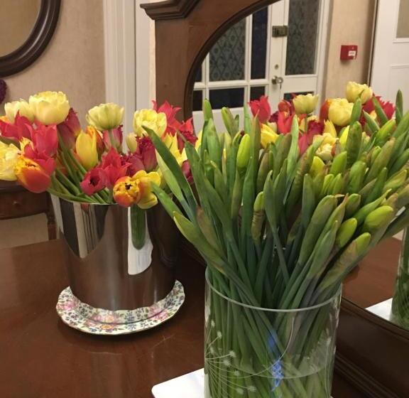 Bed and Breakfast The Queen