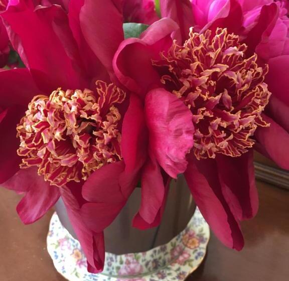 Bed and Breakfast The Queen