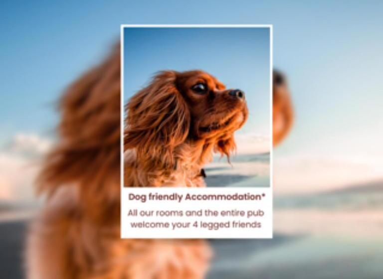 צימר The Yew Tree