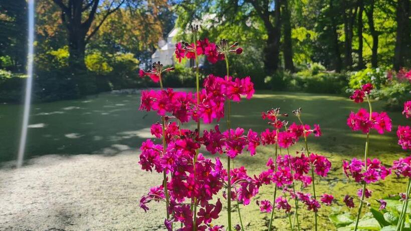 ベッドアンドブレックファースト Thrumster House