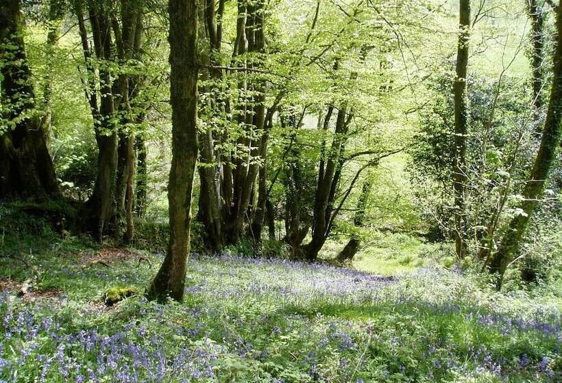 مبيت وإفطار Tregondale Manor Farm