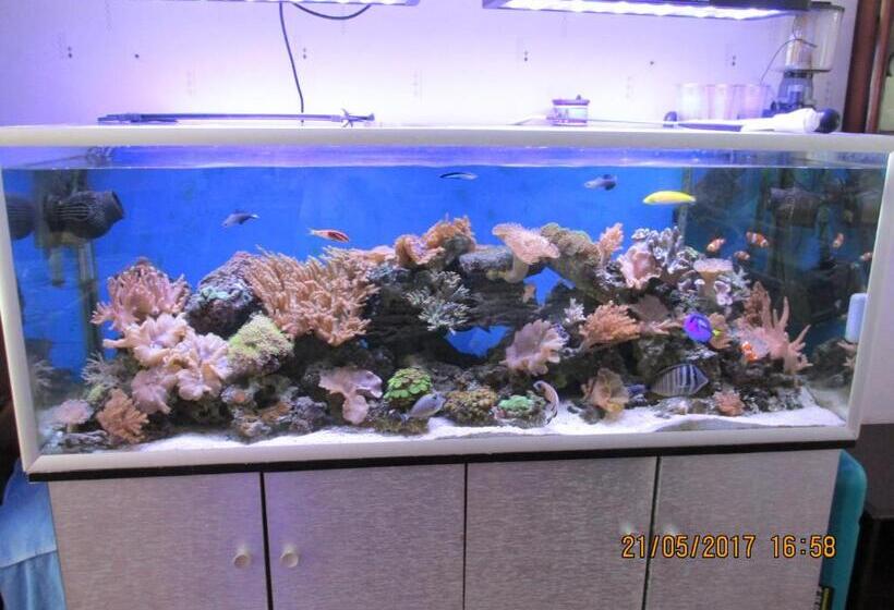 تختخواب و صبحانه Valdene