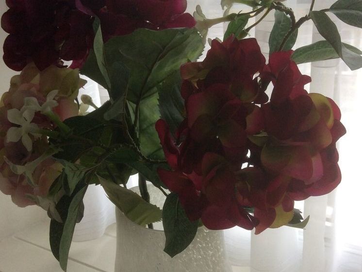 住宿加早餐 Well House