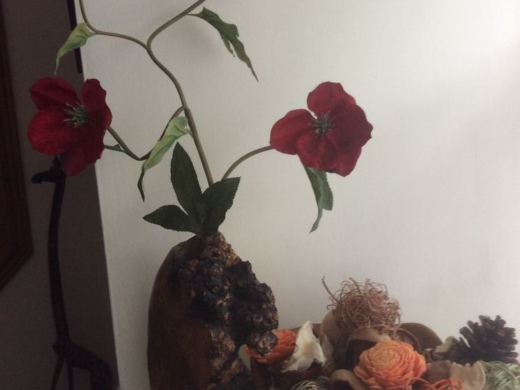 住宿加早餐 Well House