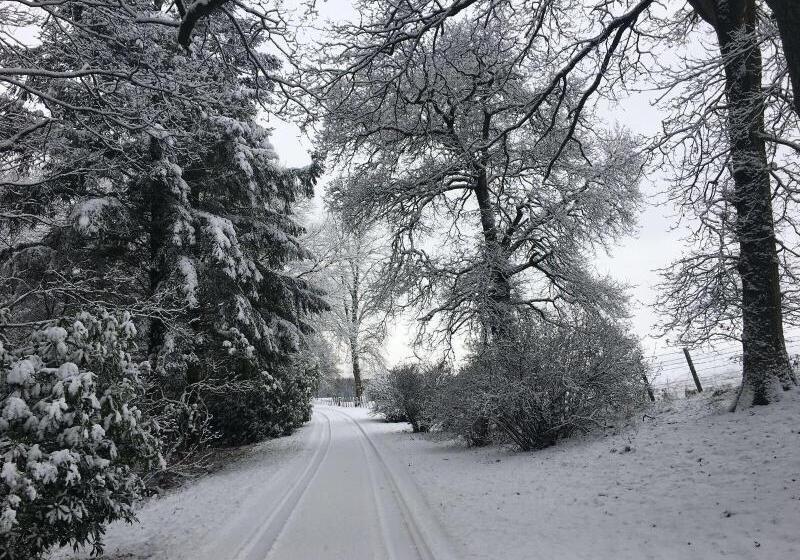 مبيت وإفطار West Plean House