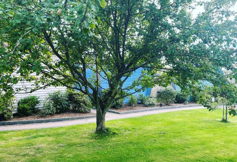 Bed and Breakfast Whitemoss Lodge