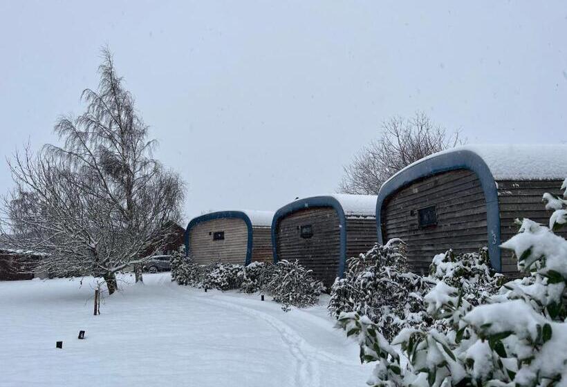 צימר Whitemoss Lodge