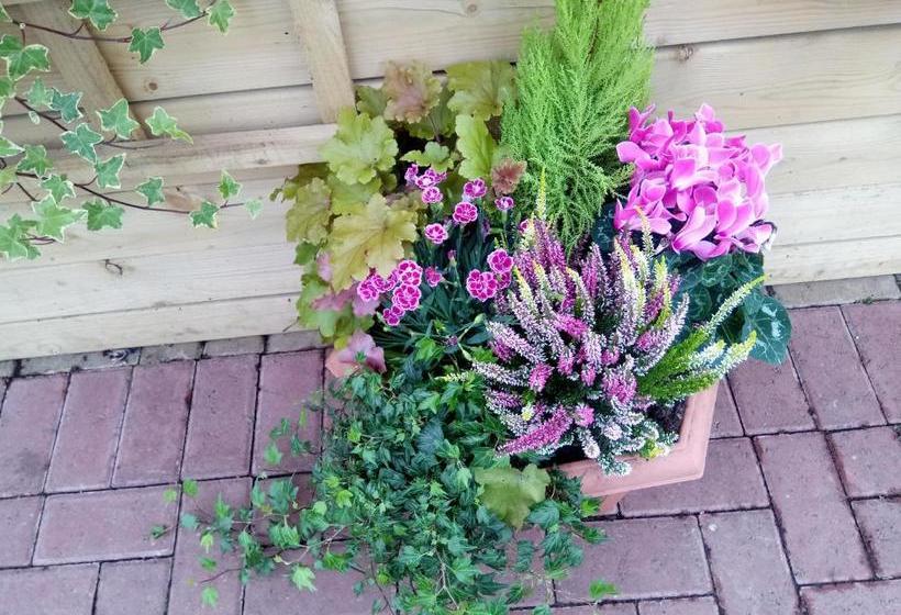 Beechwood Cottage B&b