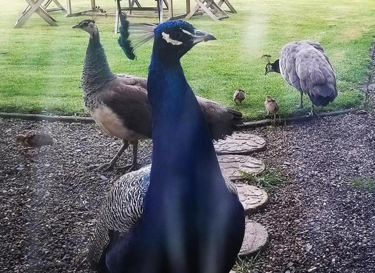 Burton Grange Farmhouse B&b