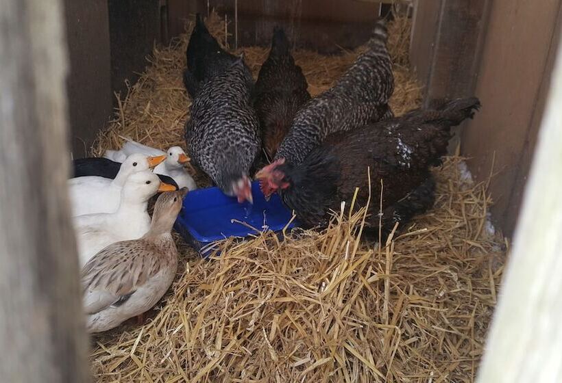 Burton Grange Farmhouse B&b