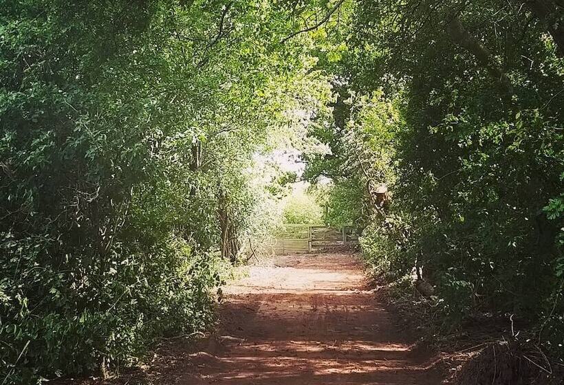 Burton Grange Farmhouse B&b