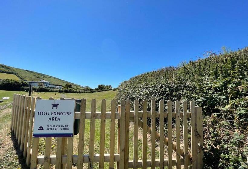 Croyde Bay Hotel Or Self Catering