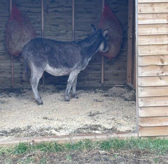 ベッドアンドブレックファースト Goss Hall