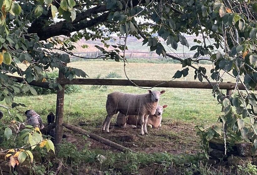 Gratton Grange Farm B&b