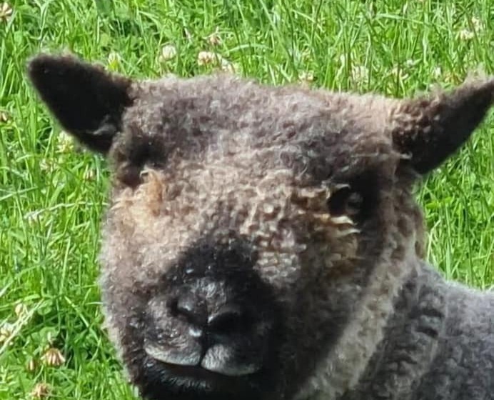 Gratton Grange Farm B&b