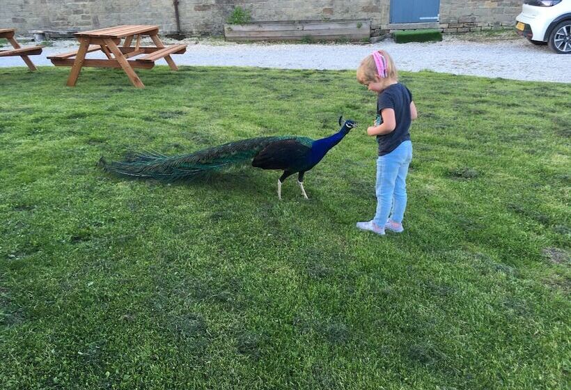 Gratton Grange Farm B&b