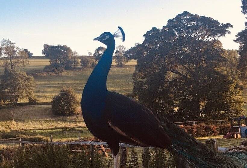 Gratton Grange Farm B&b