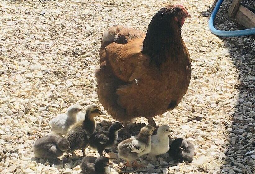 Gratton Grange Farm B&b