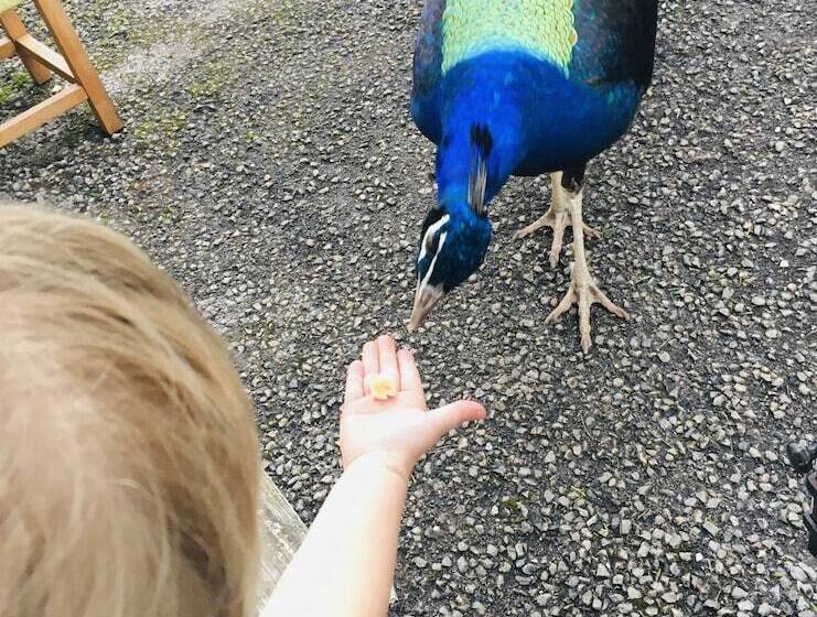 Gratton Grange Farm B&b