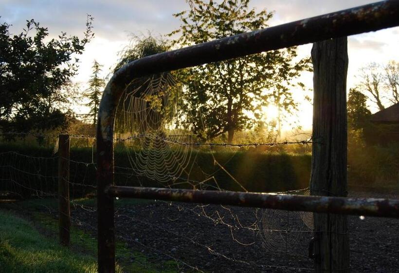 Hare & Hounds Bed & Breakfast