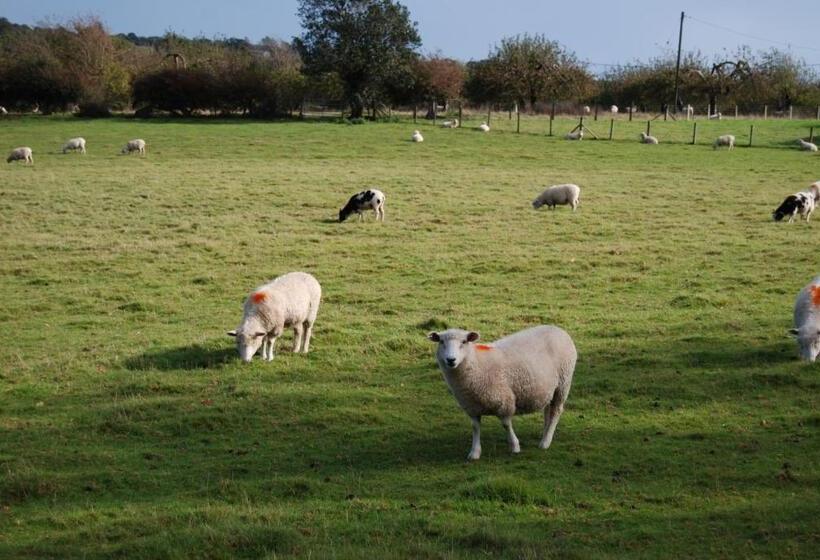 Hare & Hounds Bed & Breakfast