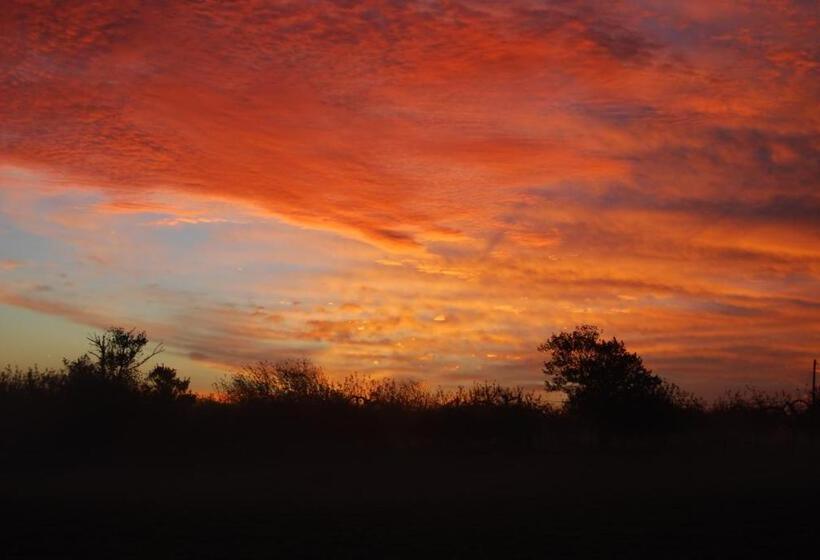 Hare & Hounds Bed & Breakfast